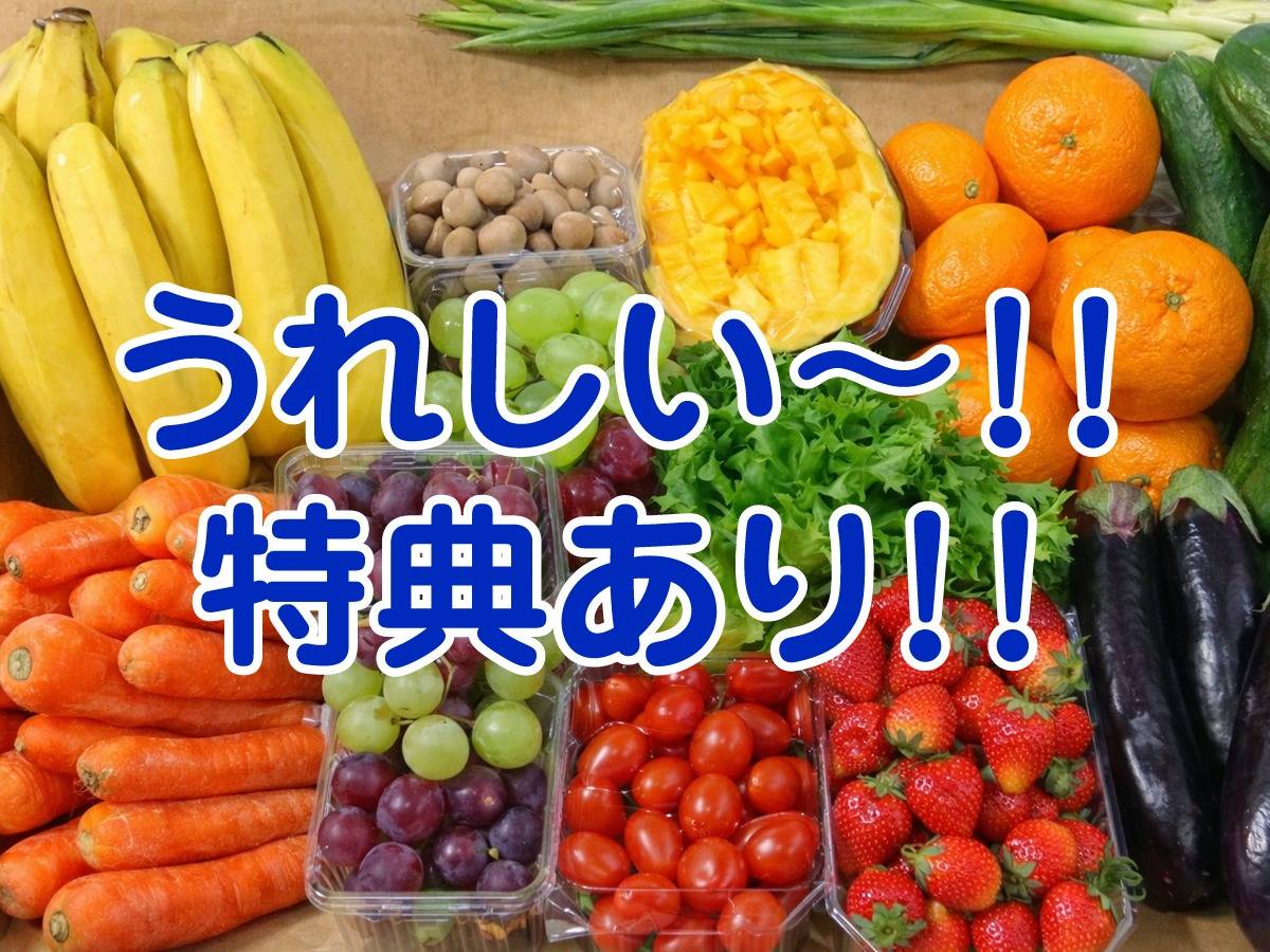 株式会社グリーンプロセス　袋詰め・仕分け 女性スタッフ募集