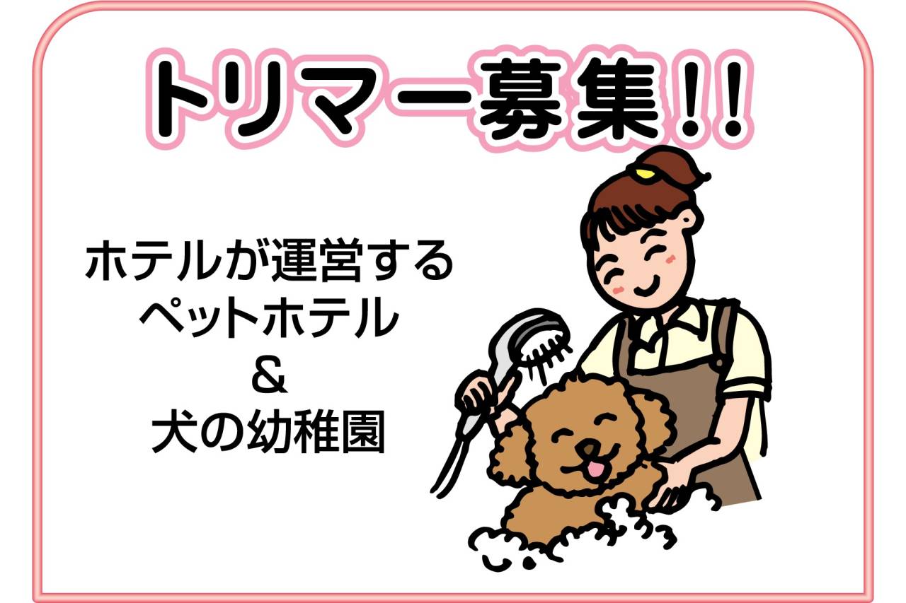 神戸ベイシェラトン ホテル＆タワーズ ドッグトリマー(正社員)募集!